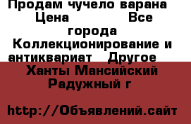 Продам чучело варана. › Цена ­ 15 000 - Все города Коллекционирование и антиквариат » Другое   . Ханты-Мансийский,Радужный г.